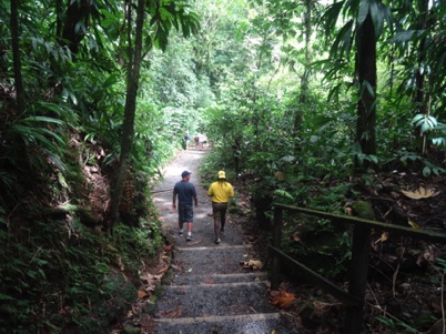 Hiking Dominica Hiking Dominica